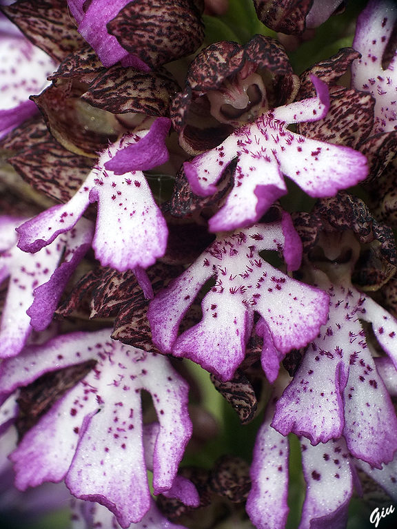 DSCF4361.jpg