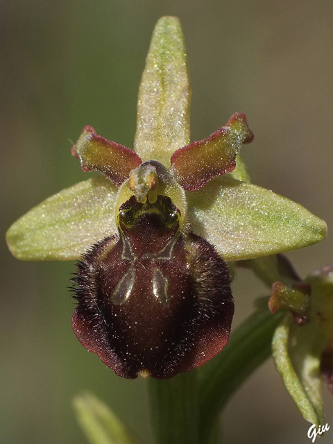 DSCF5271.jpg