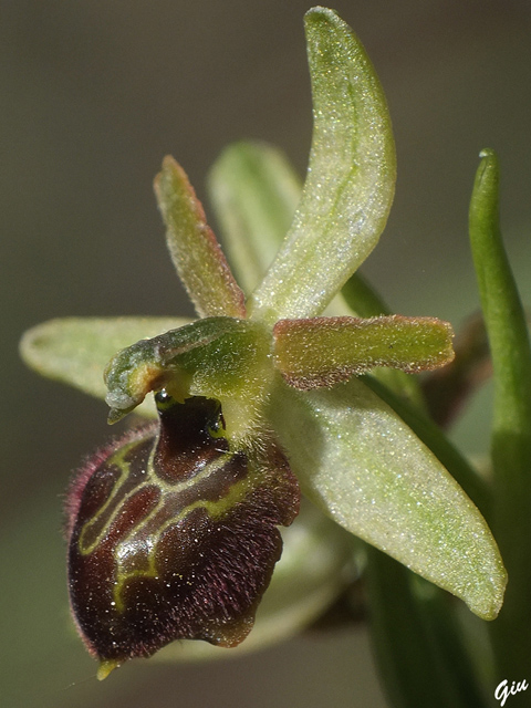 DSCF5269.jpg