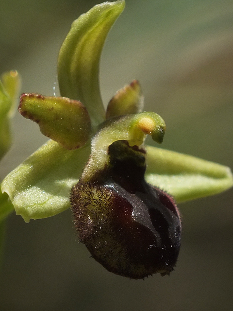 DSCF5383.jpg