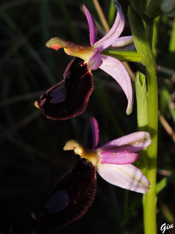 DSCF5792.jpg