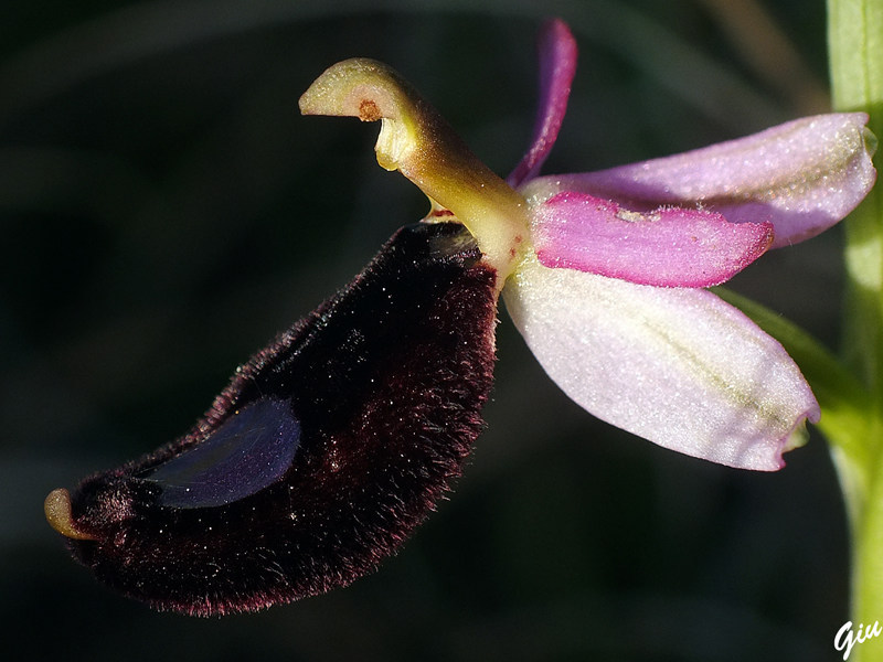 DSCF5787.jpg