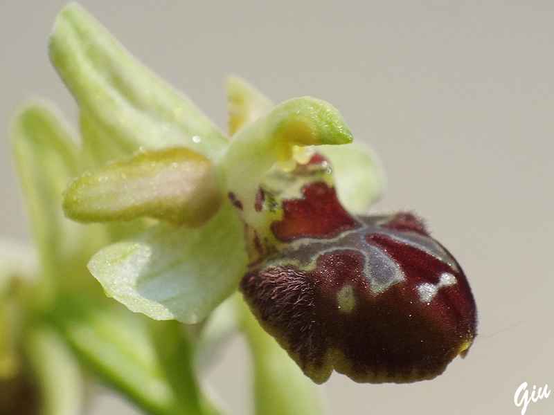 DSCF5587.jpg