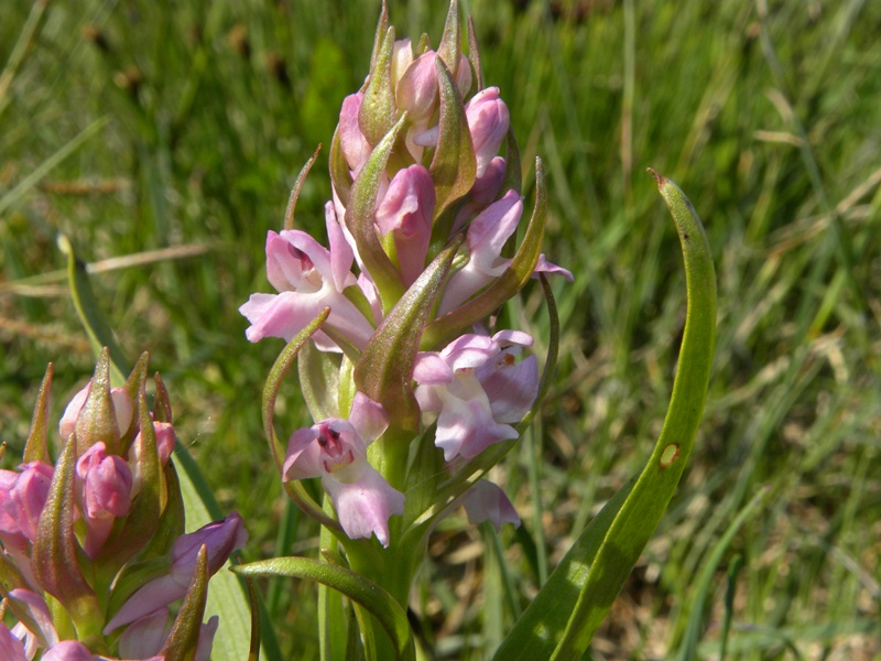DSCN9627.JPG