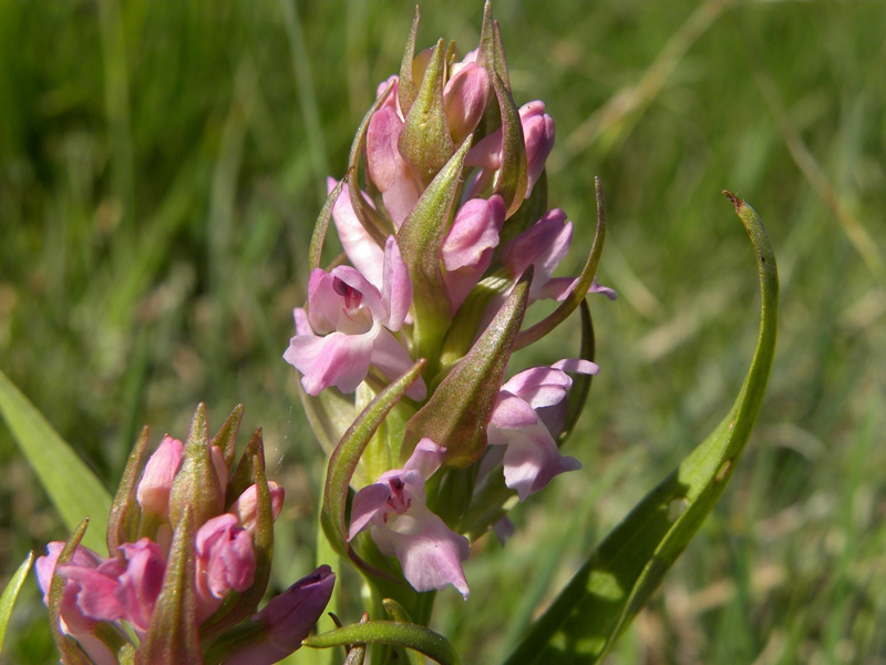 DSCN9632.JPG