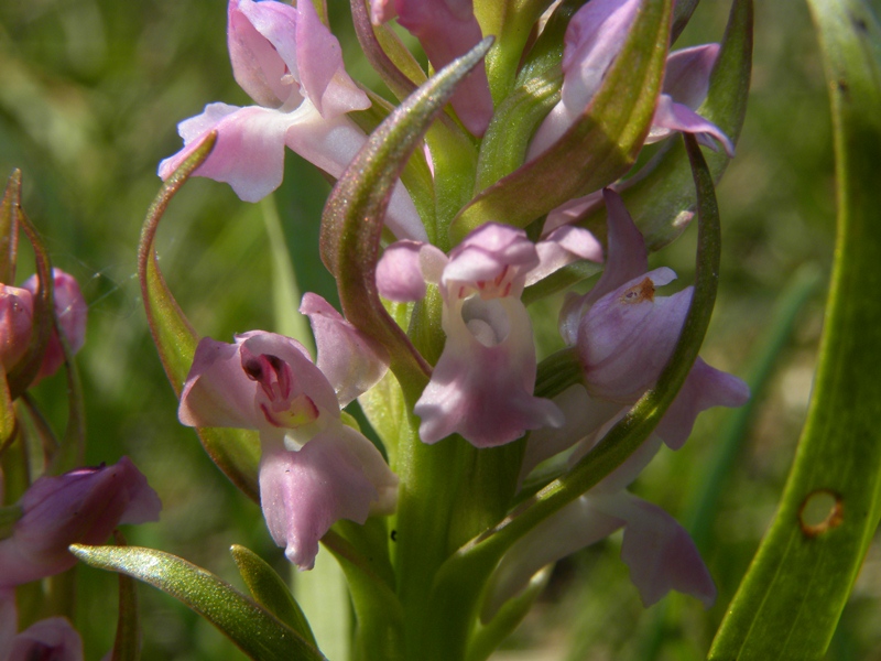 DSCN9609.JPG