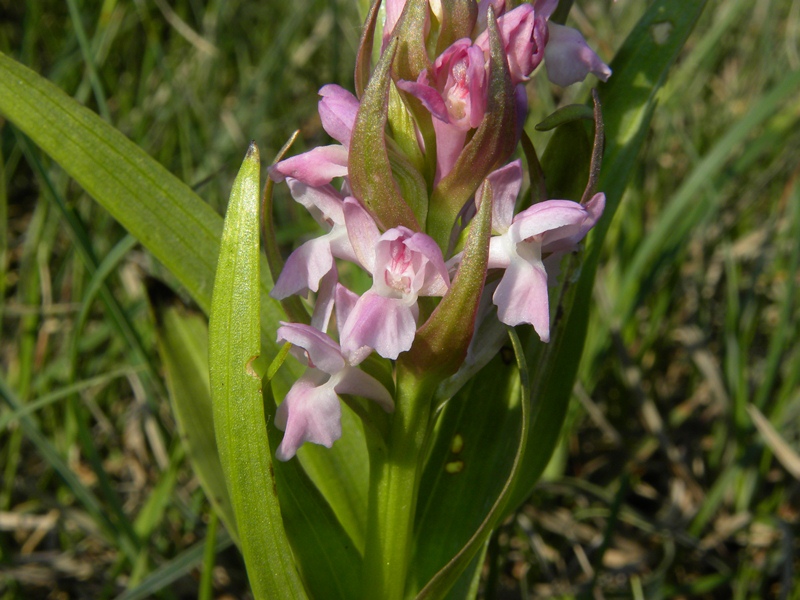 DSCN9759.JPG