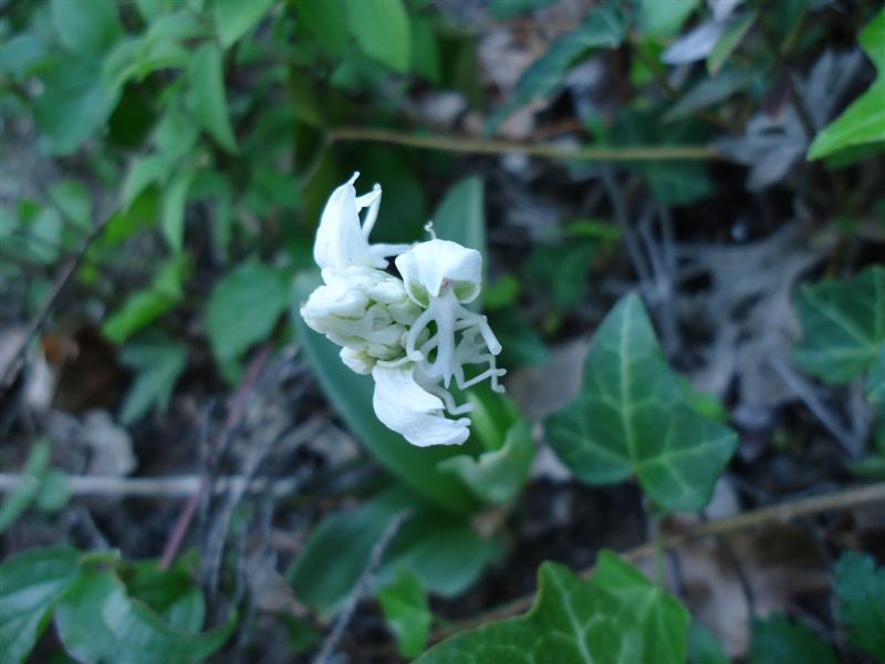 Immagine 070.jpg