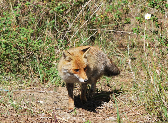 DSC_6845.jpg