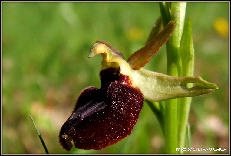 DSCF7286.JPG