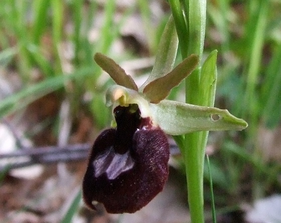 DSCF7310.JPG