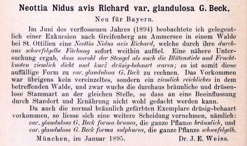 Weiss J.E., 1895, p.30.TIF.jpg