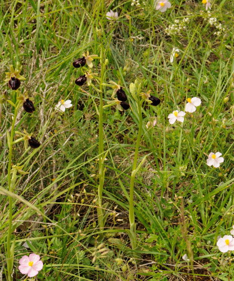 114.jpg