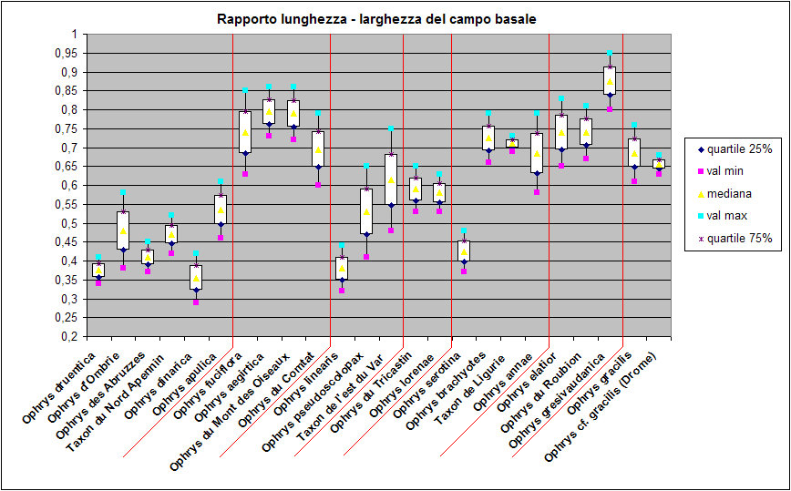 Demange.6 Rapporto lunghezza - larghezza del campo basale.jpg
