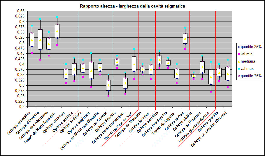 Demange.7 Rapporto altezza - larghezza della cavità stigmatica.jpg