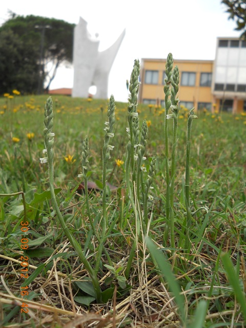 ssm 300912.jpg