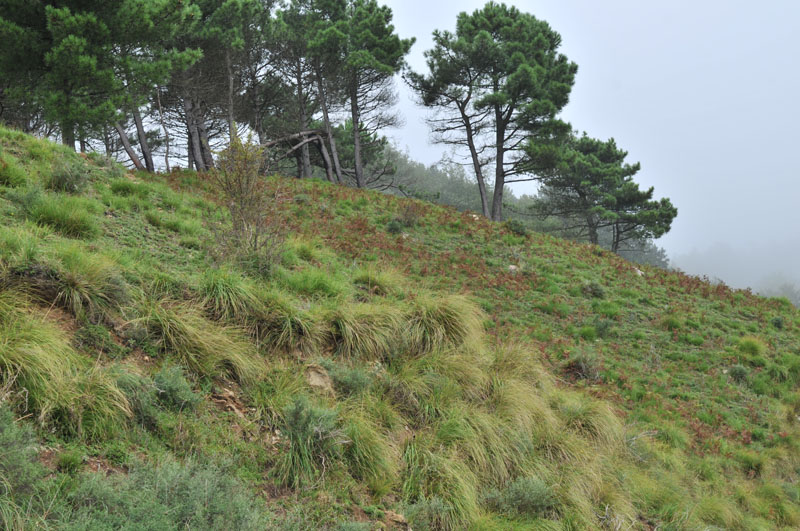 20121016_Palomb-16.jpg