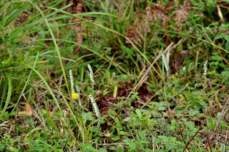 20121016_Palomb-13.jpg