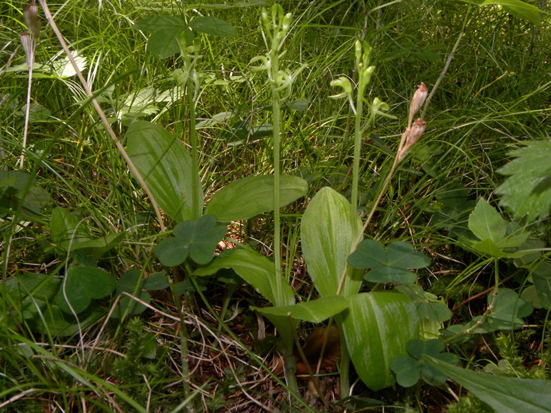 DSCN9974.JPG