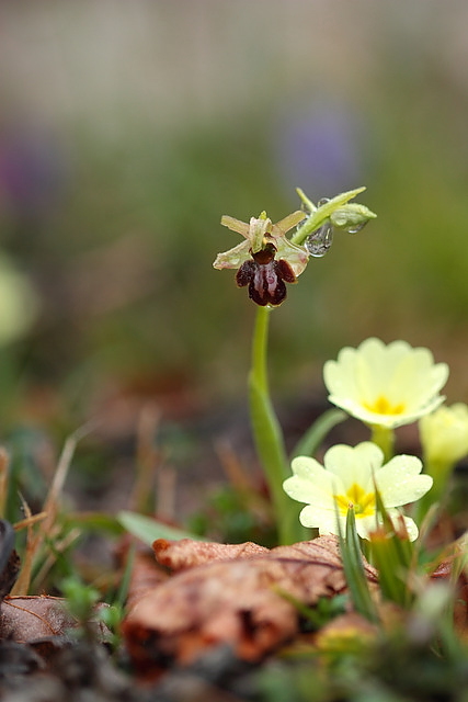 _MG_3494.JPG