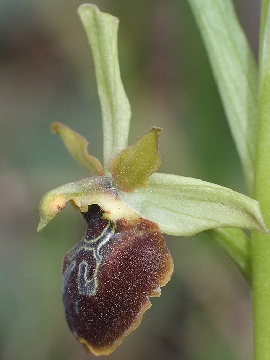 DSCF6873.jpg