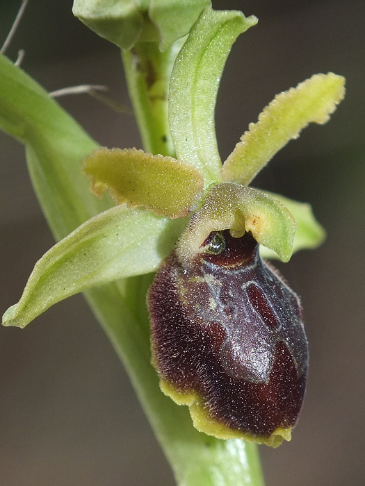 DSCF6915.jpg