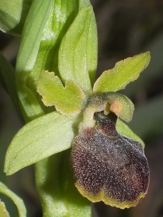 DSCF6959.jpg