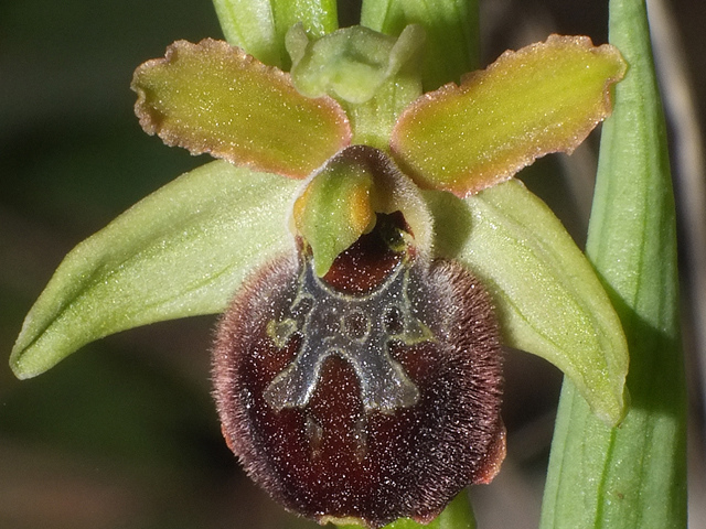DSCF6945.jpg