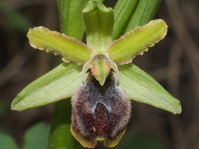 DSCF6987.jpg