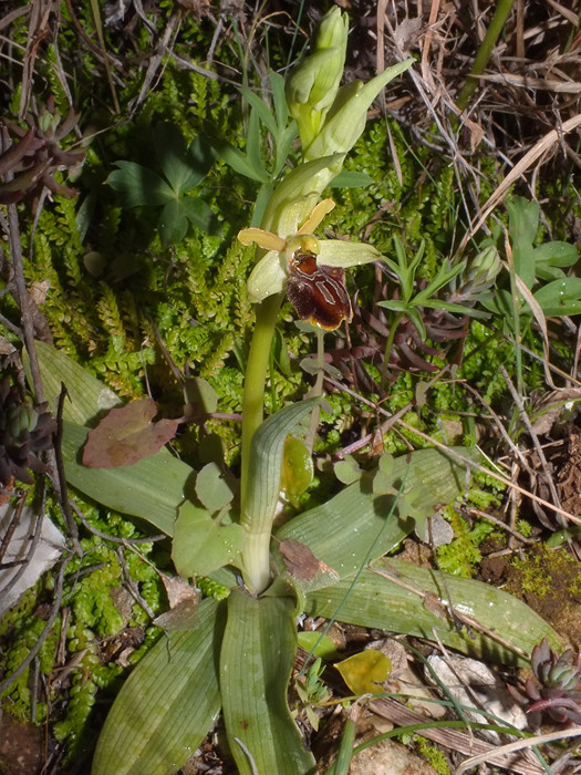 DSCF7026.jpg