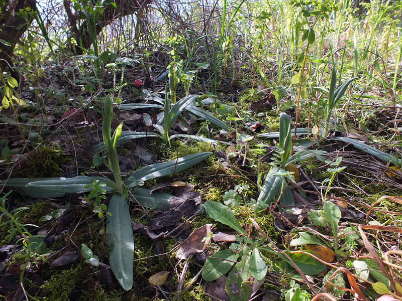 DSCF7188.jpg