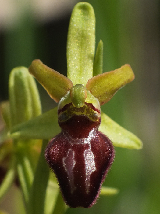 DSCF3170.jpg