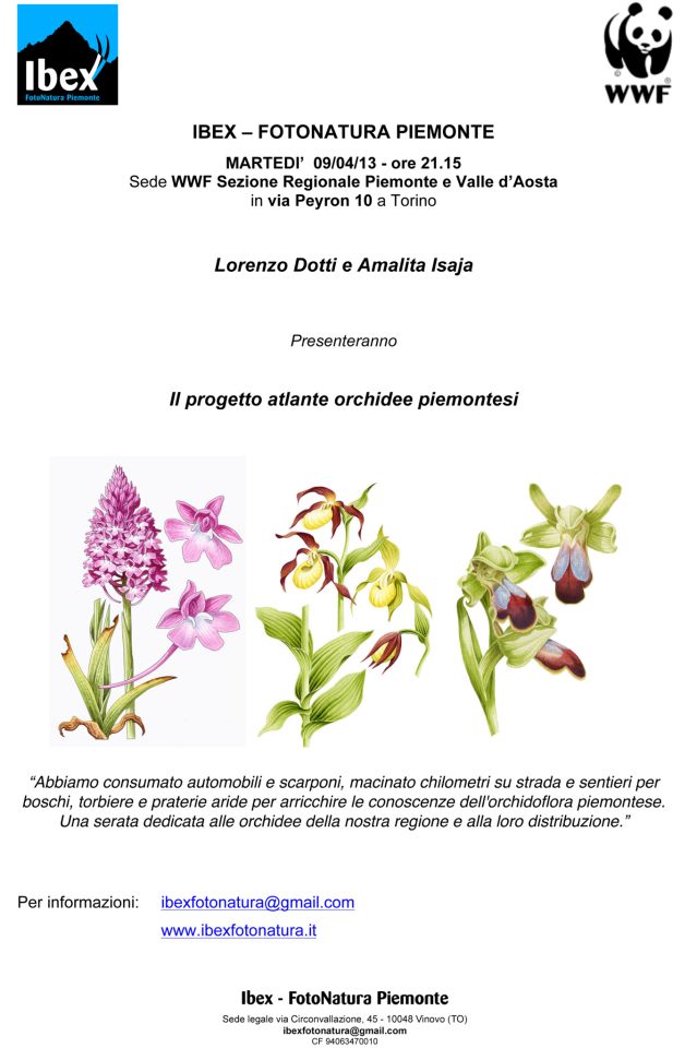 Il progetto atlante orchidee piemontesi.jpg