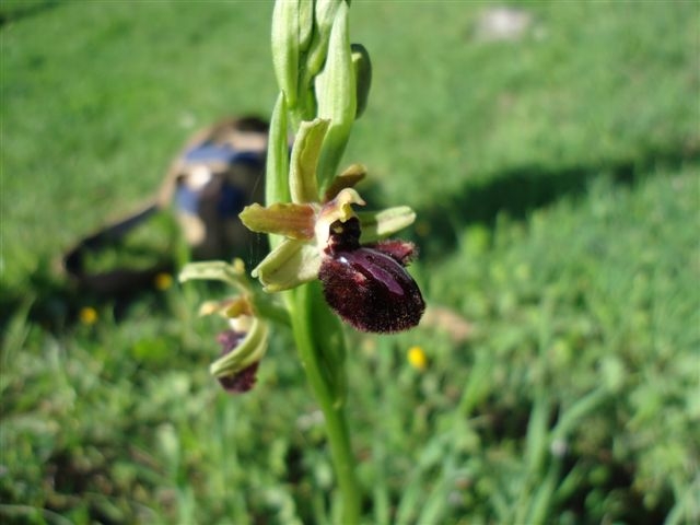 DSC01574.JPG