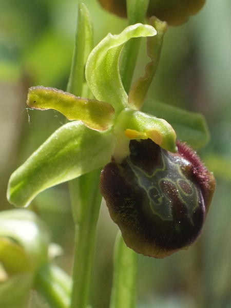 DSCF5275.jpg