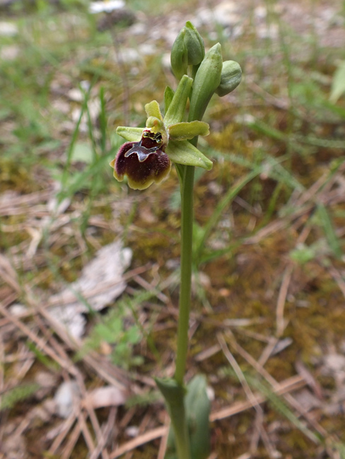 DSCF1615.jpg