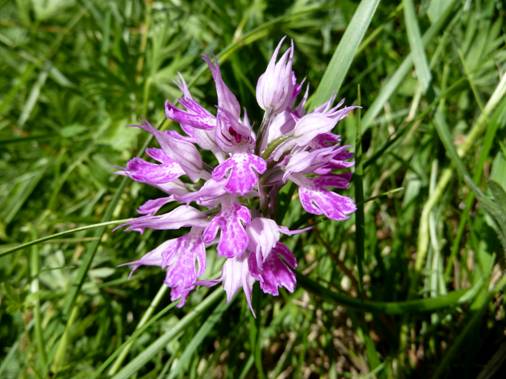 image016.jpg
