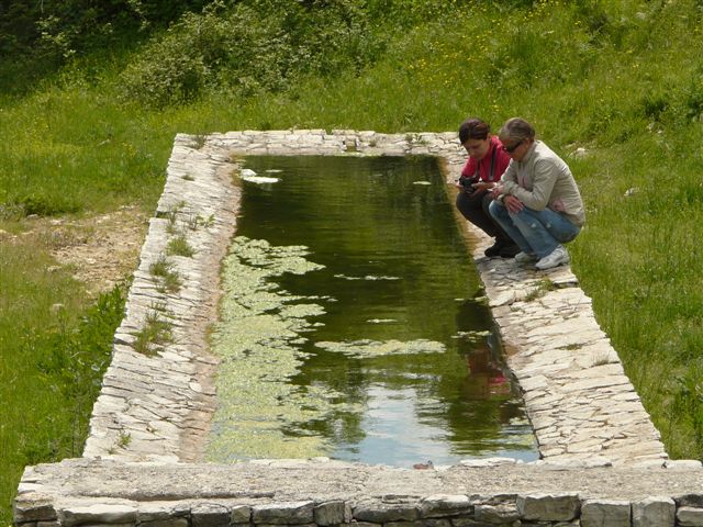 Piscina.JPG