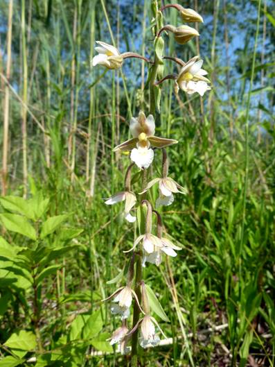 image005.jpg