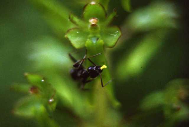 natura 009.jpg